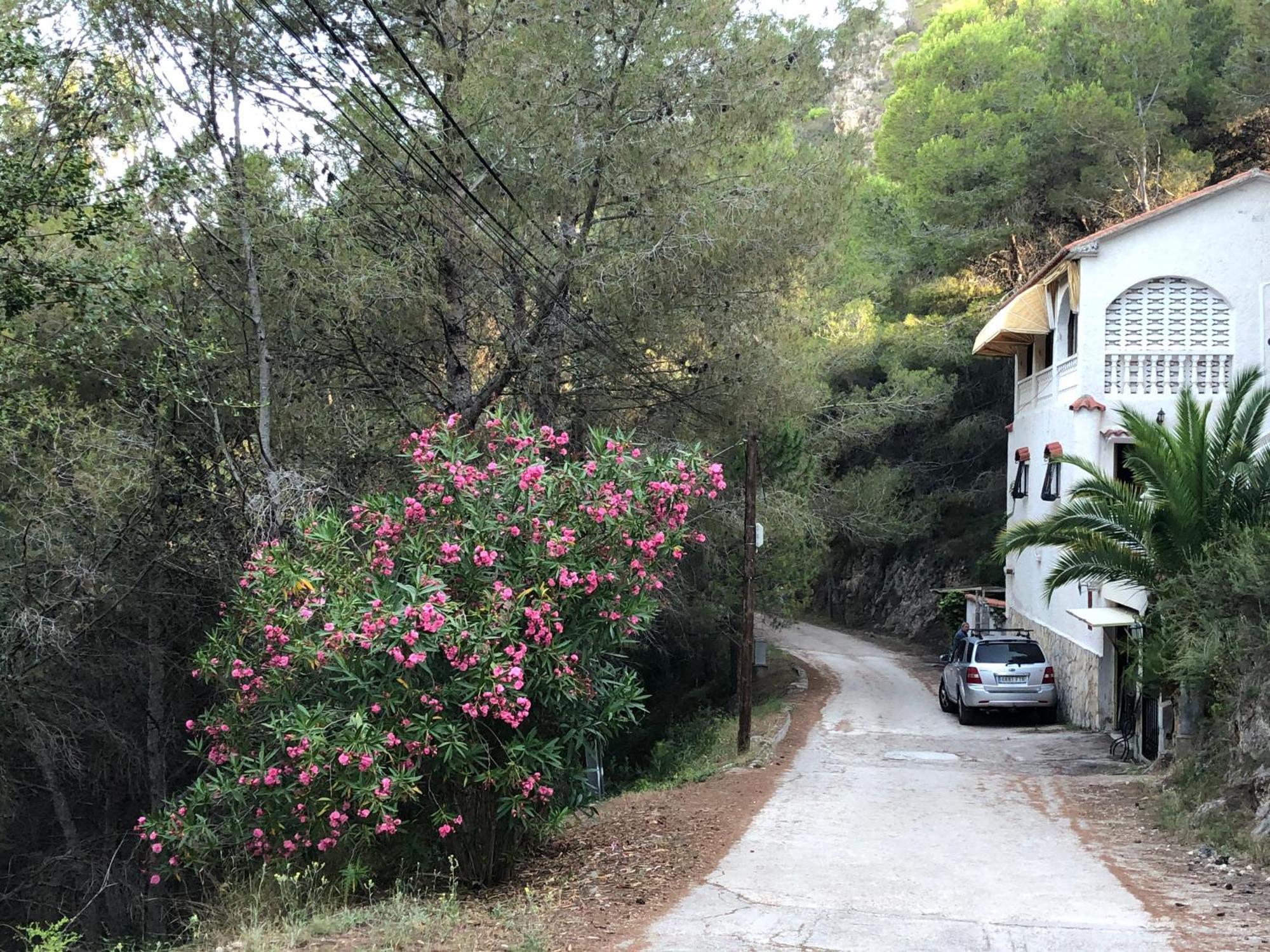 Almisera Villa Almiserat Buitenkant foto